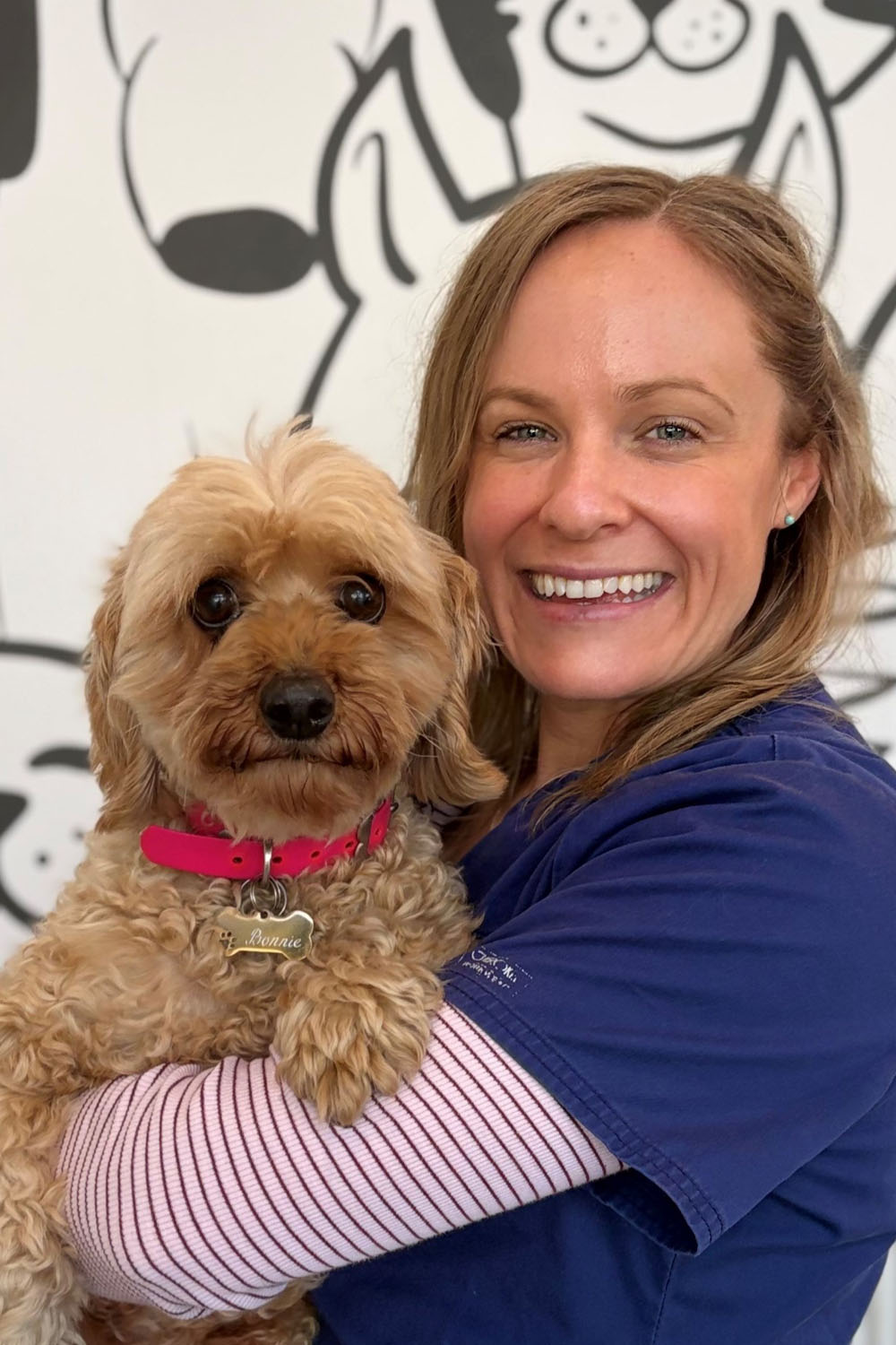 Tullamarine Animal Hospital - Dr Pamela Gillis