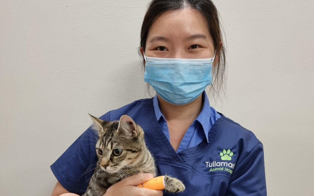 Blood Testing & Laboratory