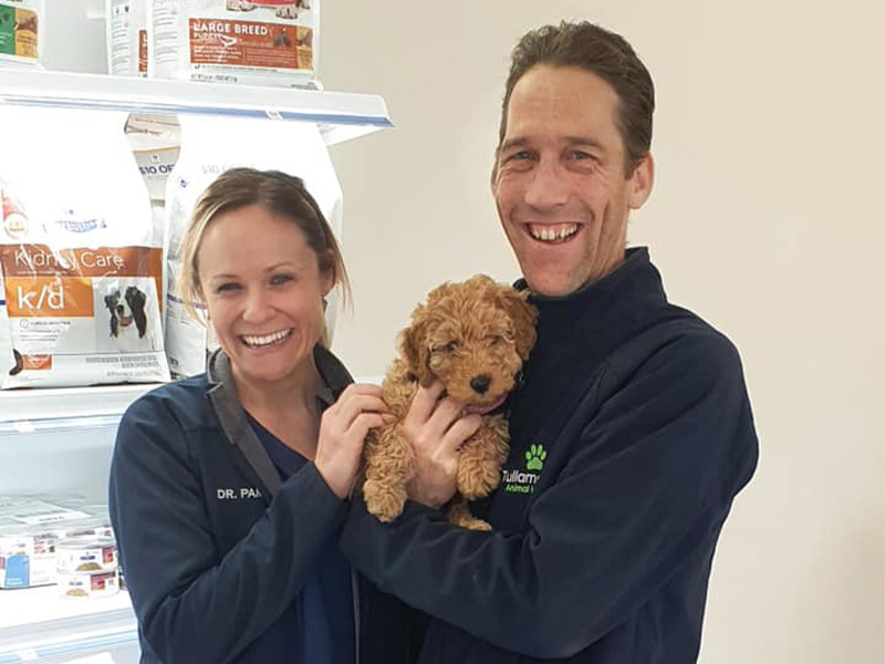 Pet Health Checks Tullamarine Animal Hospital